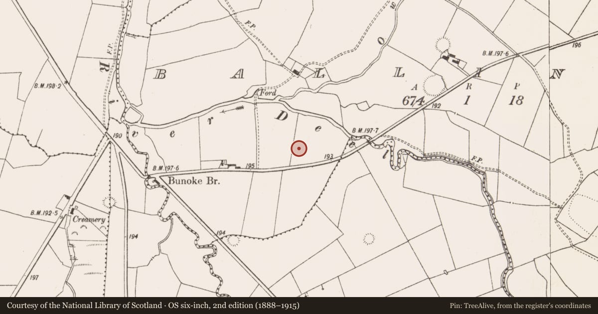 Ordnance Survey six-inch map, 2nd edition (1888–1915) covering the location of Earthwork, Balliniska, County Limerick, with a pin at the register's coordinates