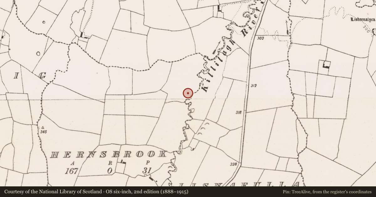 Ordnance Survey six-inch map, 2nd edition (1888–1915) covering the location of Earthwork, Hernsbrook, County Limerick, with a pin at the register's coordinates