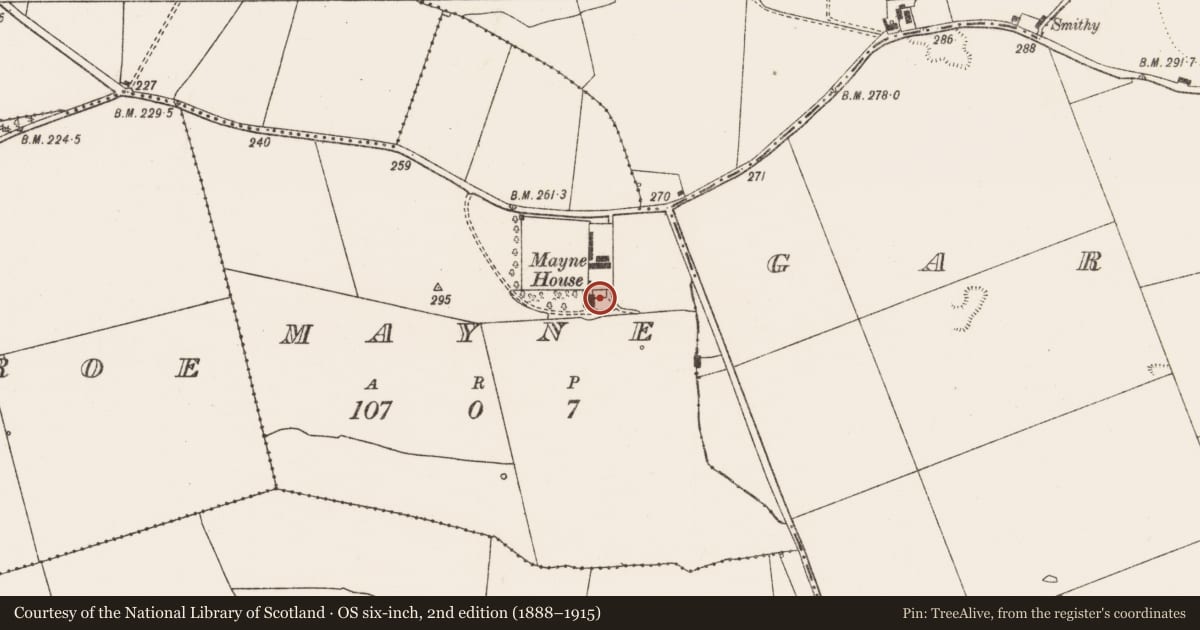 Ordnance Survey six-inch map, 2nd edition (1888–1915) covering the location of Castle - unclassified, Mayne, County Limerick, with a pin at the register's coordinates
