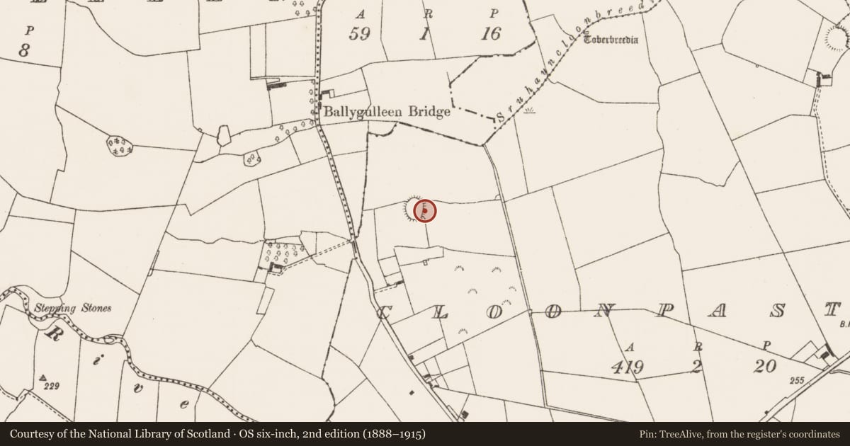 Ordnance Survey six-inch map, 2nd edition (1888–1915) covering the location of Ringfort - rath, Cloonpasteen, County Limerick, with a pin at the register's coordinates
