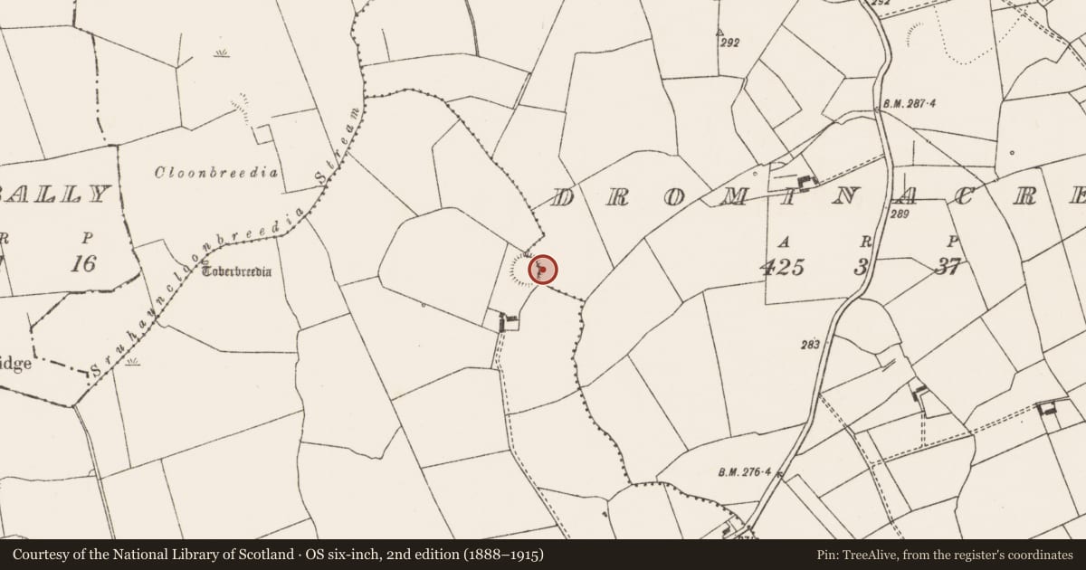 Ordnance Survey six-inch map, 2nd edition (1888–1915) covering the location of Ringfort - rath, Cloonpasteen, County Limerick, with a pin at the register's coordinates