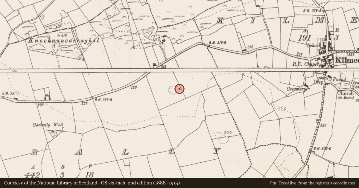 Ordnance Survey six-inch map, 2nd edition (1888–1915) covering the location of Ringfort - rath, Garbally, County Limerick, with a pin at the register's coordinates