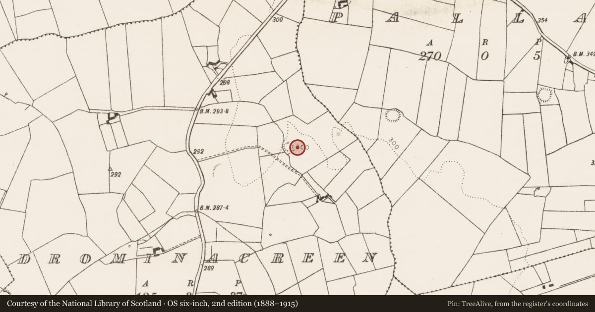 Ordnance Survey six-inch map, 2nd edition (1888–1915) covering the location of Ringfort - rath, Drominacreen, County Limerick, with a pin at the register's coordinates