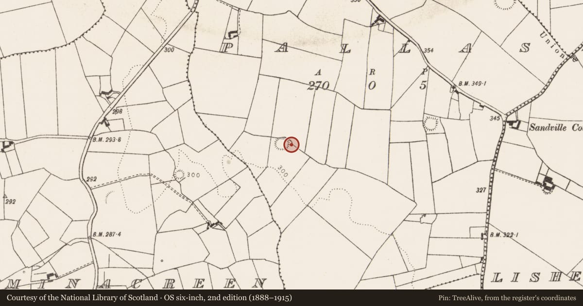 Ordnance Survey six-inch map, 2nd edition (1888–1915) covering the location of Ringfort - rath, Pallas, County Limerick, with a pin at the register's coordinates