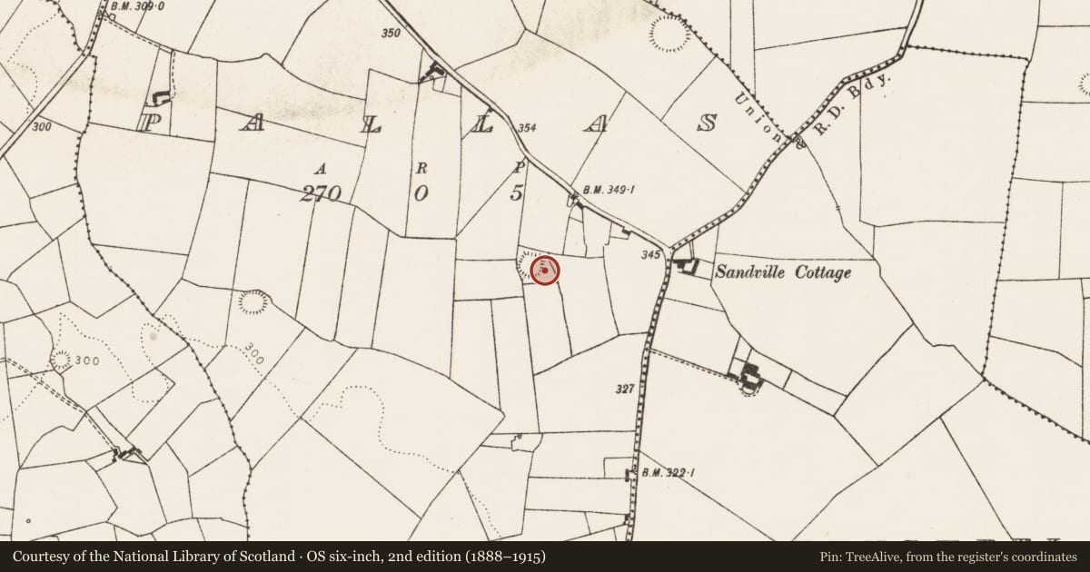 Ordnance Survey six-inch map, 2nd edition (1888–1915) covering the location of Ringfort - rath, Pallas, County Limerick, with a pin at the register's coordinates