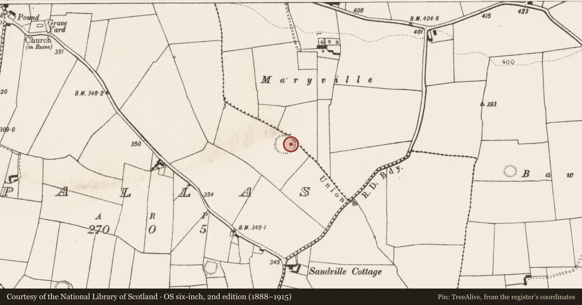 Ordnance Survey six-inch map, 2nd edition (1888–1915) covering the location of Ringfort - rath, Pallas, County Limerick, with a pin at the register's coordinates