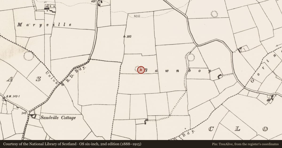 Ordnance Survey six-inch map, 2nd edition (1888–1915) covering the location of Ringfort - rath, Ballinruane, County Limerick, with a pin at the register's coordinates