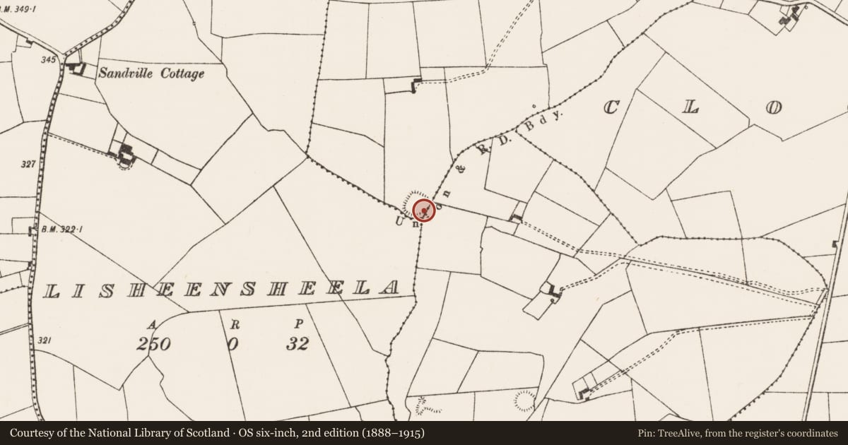Ordnance Survey six-inch map, 2nd edition (1888–1915) covering the location of Moated site, Ballinruane, County Limerick, with a pin at the register's coordinates