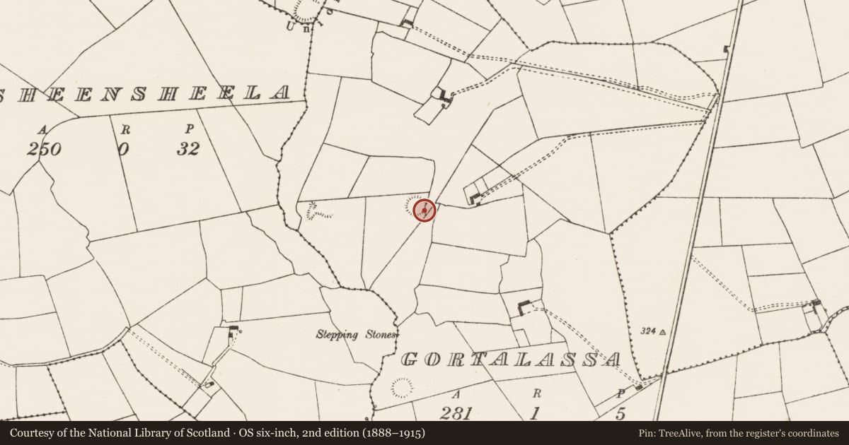 Ordnance Survey six-inch map, 2nd edition (1888–1915) covering the location of Ringfort - rath, Gortalassa, County Limerick, with a pin at the register's coordinates