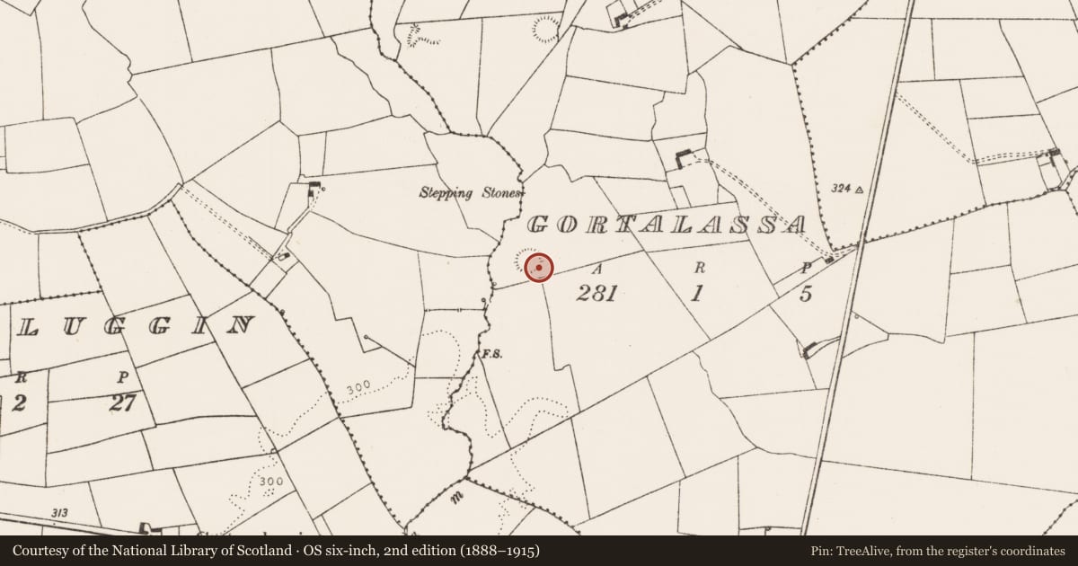 Ordnance Survey six-inch map, 2nd edition (1888–1915) covering the location of Ringfort - rath, Gortalassa, County Limerick, with a pin at the register's coordinates