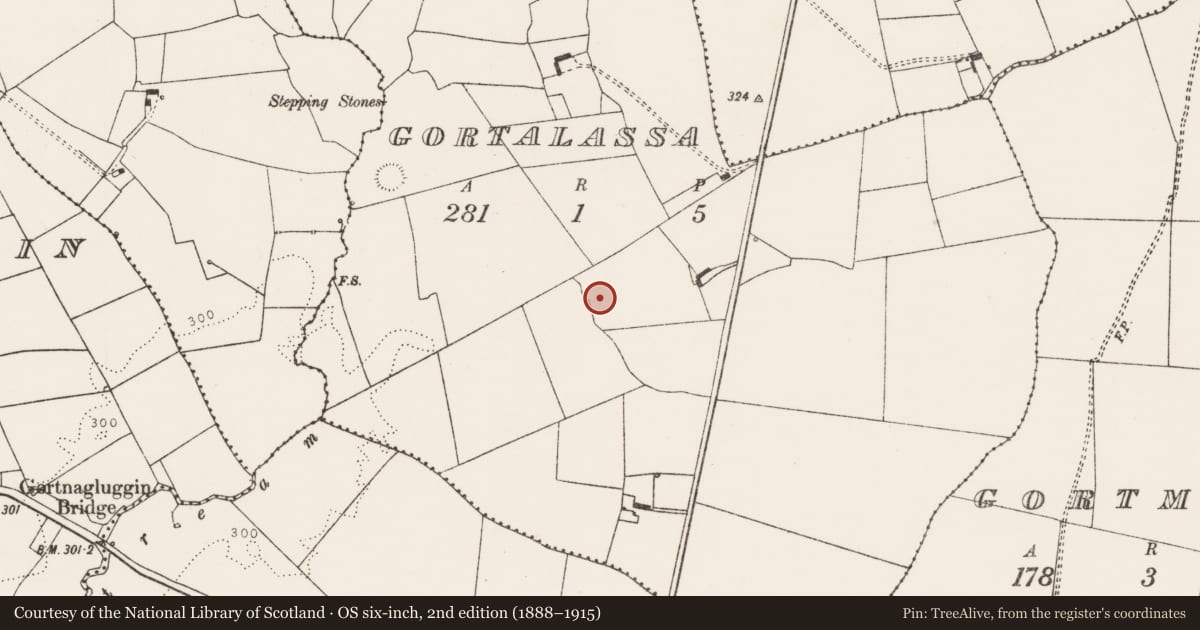 Ordnance Survey six-inch map, 2nd edition (1888–1915) covering the location of Ringfort - rath, Gortalassa, County Limerick, with a pin at the register's coordinates