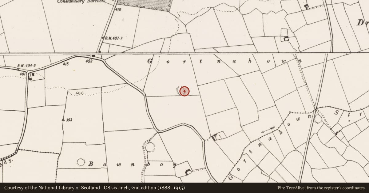 Ordnance Survey six-inch map, 2nd edition (1888–1915) covering the location of Ringfort - rath, Ballinruane, County Limerick, with a pin at the register's coordinates