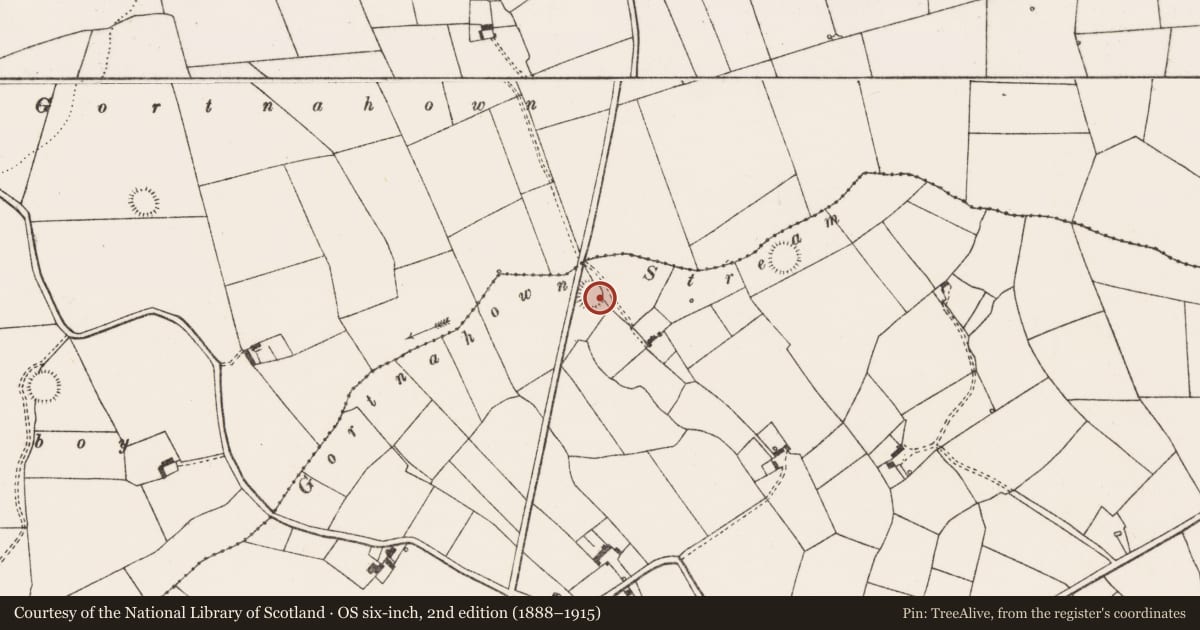 Ordnance Survey six-inch map, 2nd edition (1888–1915) covering the location of Ringfort - rath, Clooncrippa, County Limerick, with a pin at the register's coordinates