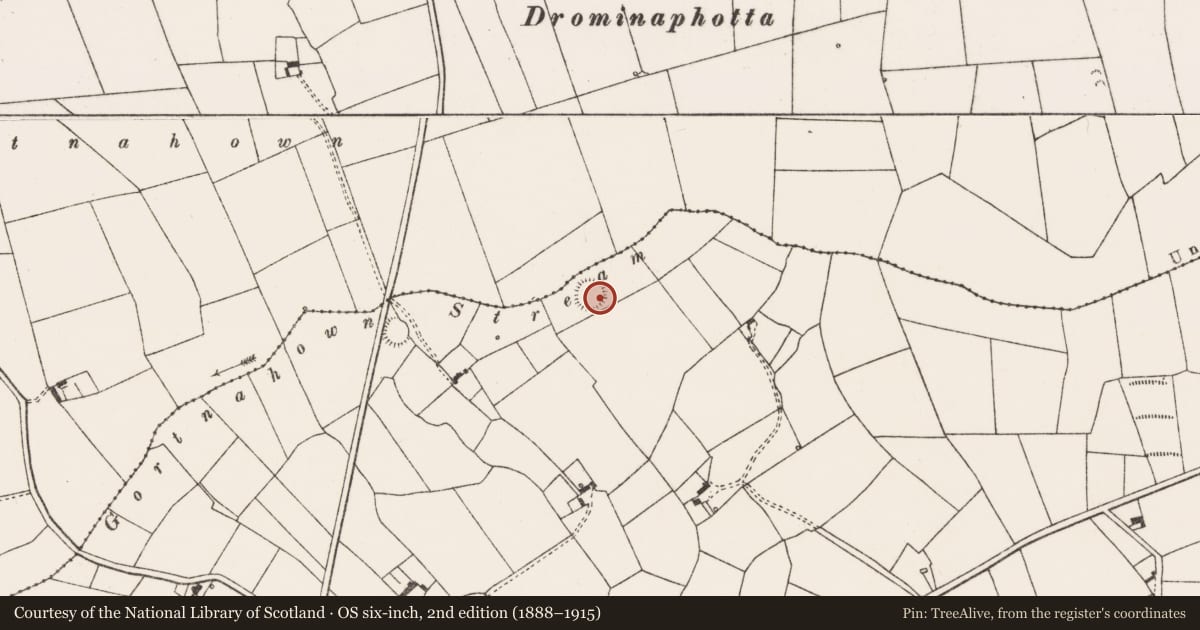 Ordnance Survey six-inch map, 2nd edition (1888–1915) covering the location of Barrow - ring-barrow, Clooncrippa, County Limerick, with a pin at the register's coordinates