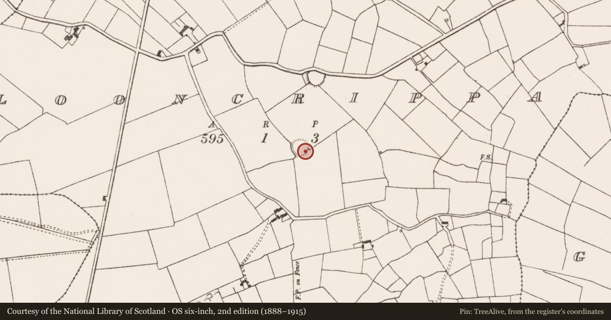 Ordnance Survey six-inch map, 2nd edition (1888–1915) covering the location of Ringfort - rath, Clooncrippa, County Limerick, with a pin at the register's coordinates