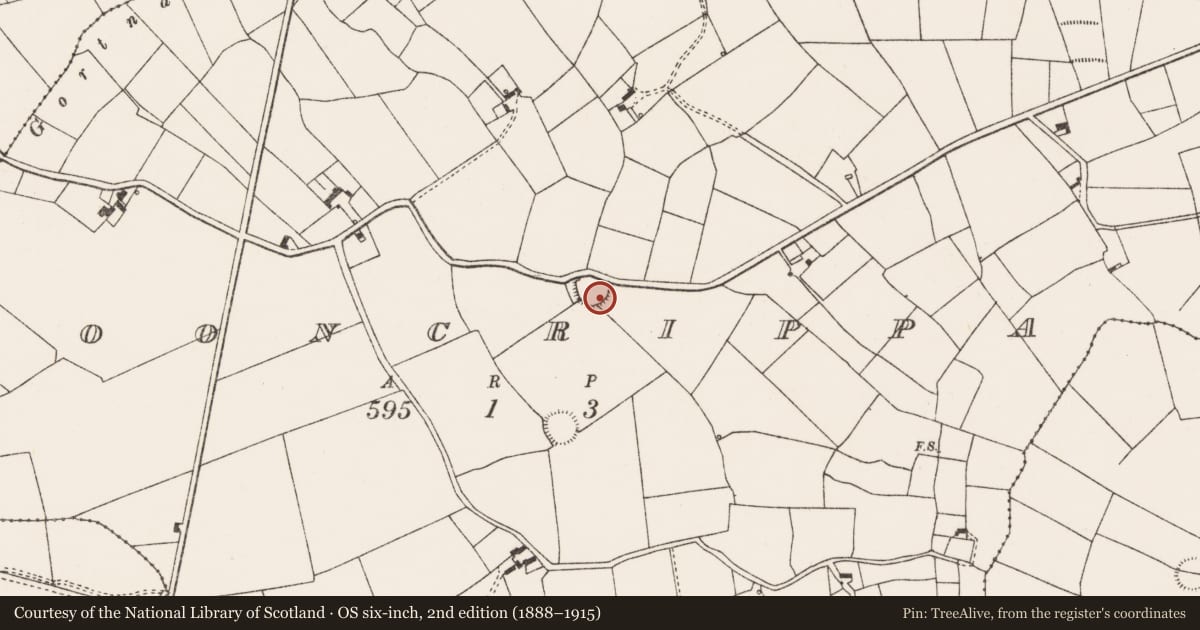 Ordnance Survey six-inch map, 2nd edition (1888–1915) covering the location of Ringfort - rath, Clooncrippa, County Limerick, with a pin at the register's coordinates
