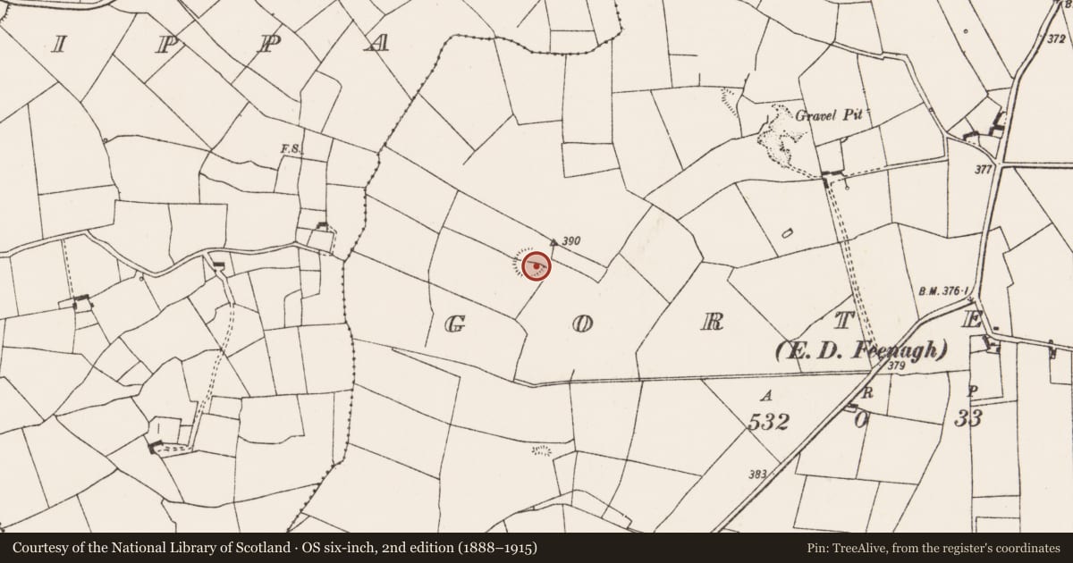 Ordnance Survey six-inch map, 2nd edition (1888–1915) covering the location of Ringfort - rath, Gorteen, County Limerick, with a pin at the register's coordinates