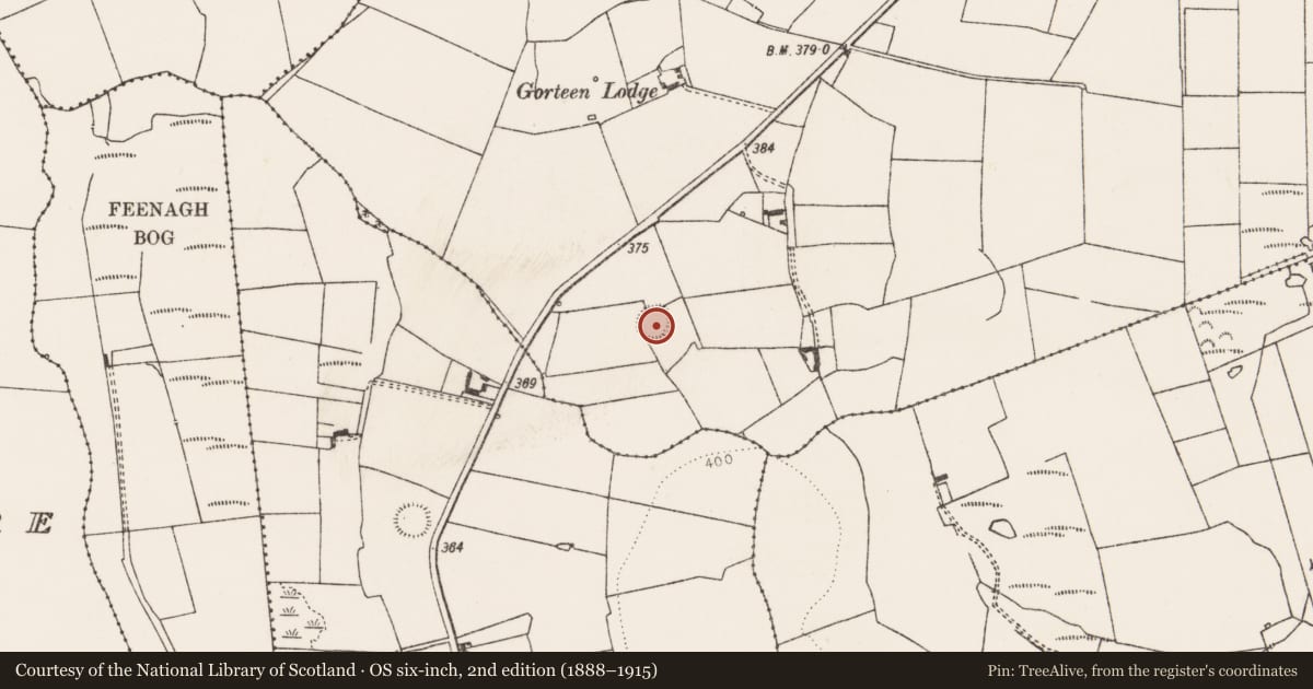 Ordnance Survey six-inch map, 2nd edition (1888–1915) covering the location of Ringfort - rath, Gorteen, County Limerick, with a pin at the register's coordinates