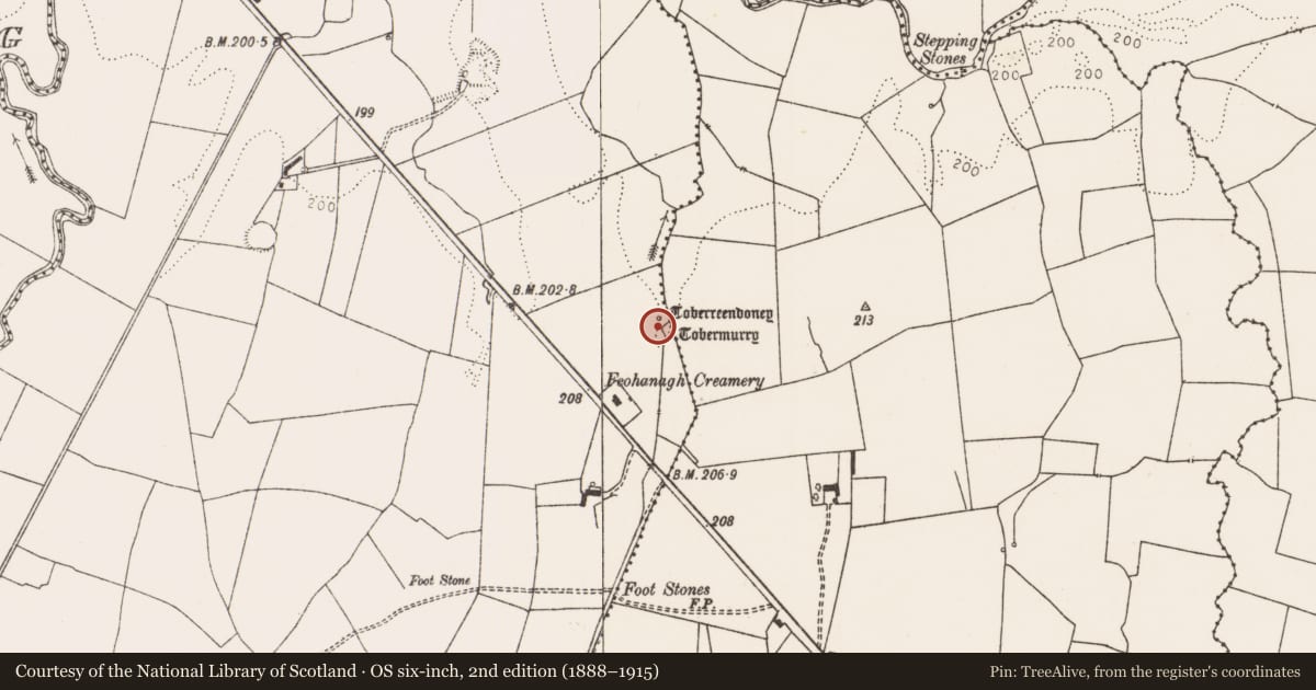 Ordnance Survey six-inch map, 2nd edition (1888–1915) covering the location of Ritual site - holy well, Ahawilk, County Limerick, with a pin at the register's coordinates
