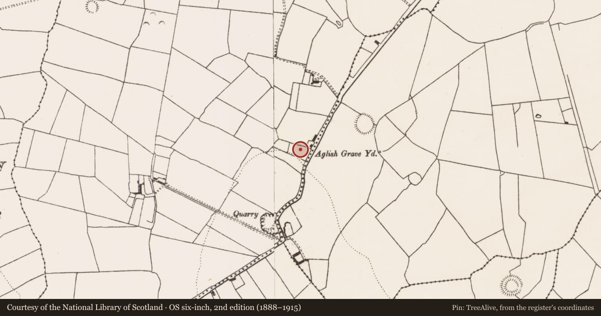 Ordnance Survey six-inch map, 2nd edition (1888–1915) covering the location of Church, Appletown, County Limerick, with a pin at the register's coordinates