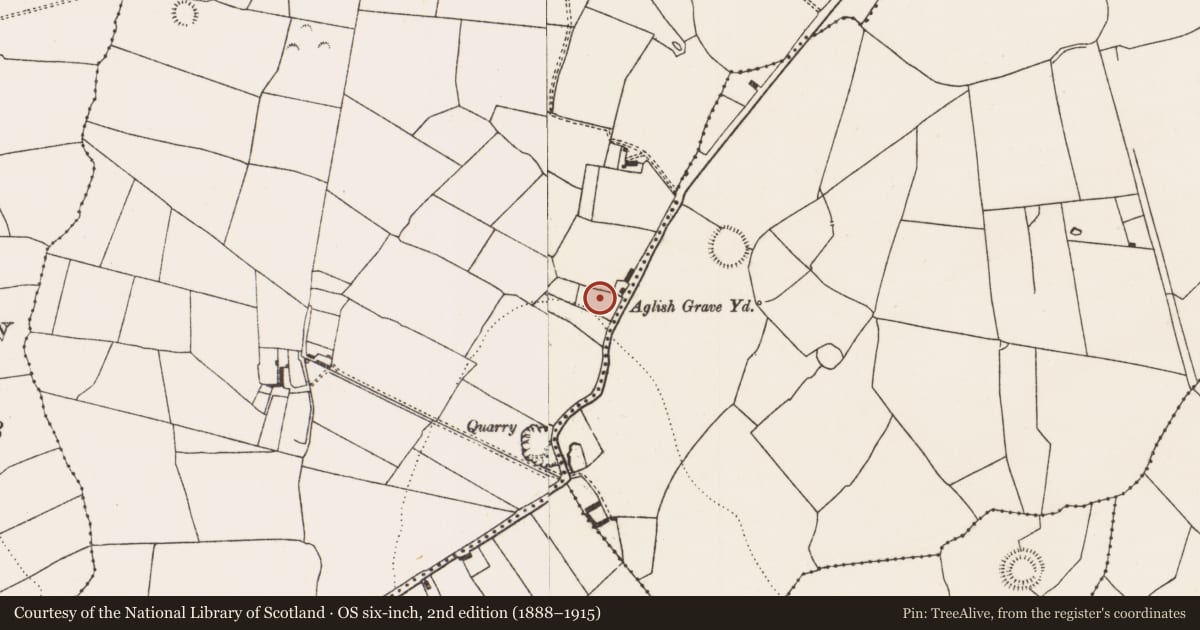 Ordnance Survey six-inch map, 2nd edition (1888–1915) covering the location of Graveyard, Appletown, County Limerick, with a pin at the register's coordinates