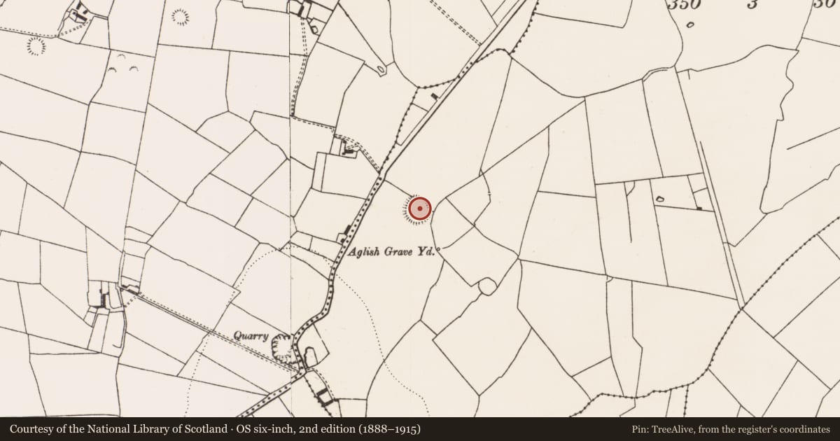 Ordnance Survey six-inch map, 2nd edition (1888–1915) covering the location of Ringfort - rath, Ballydonnell, County Limerick, with a pin at the register's coordinates