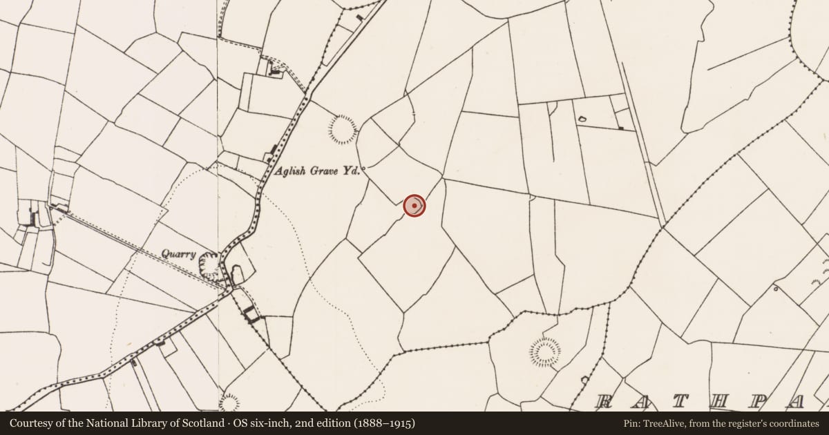 Ordnance Survey six-inch map, 2nd edition (1888–1915) covering the location of Ringfort - rath, Ballydonnell, County Limerick, with a pin at the register's coordinates