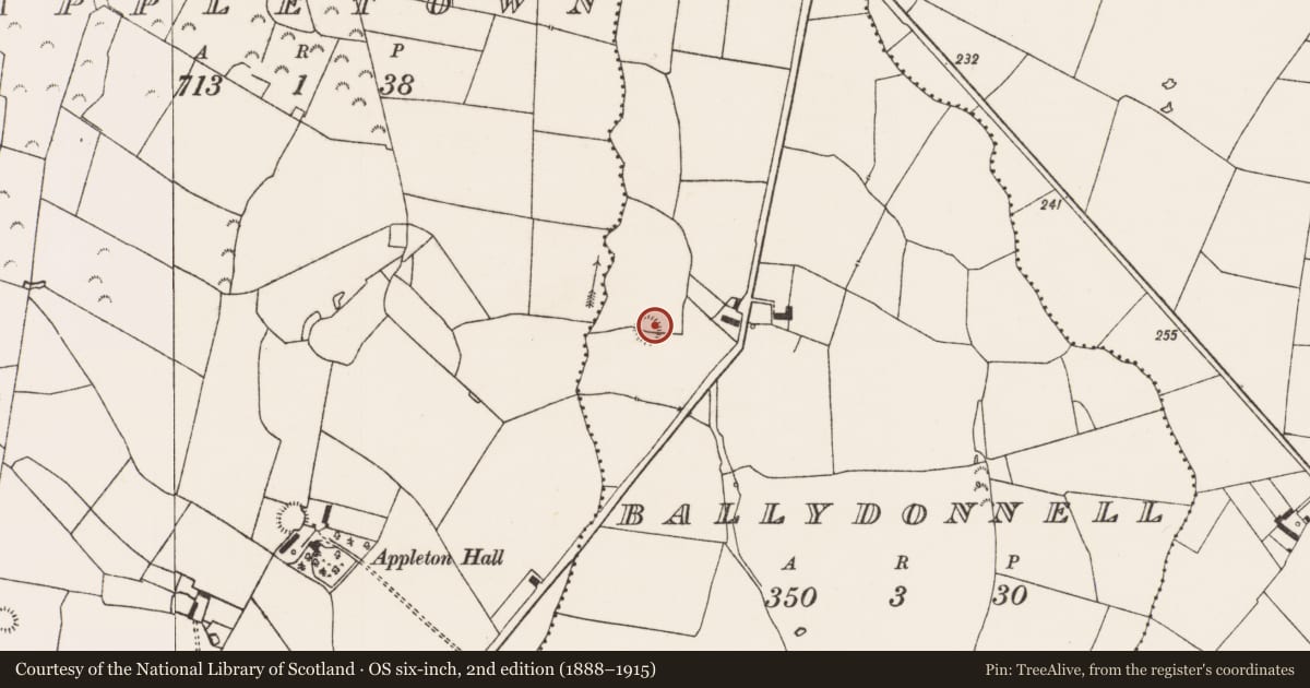 Ordnance Survey six-inch map, 2nd edition (1888–1915) covering the location of Ringfort - rath, Ballydonnell, County Limerick, with a pin at the register's coordinates