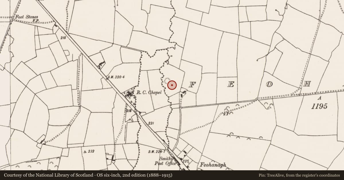 Ordnance Survey six-inch map, 2nd edition (1888–1915) covering the location of Ringfort - rath, Feohanagh, County Limerick, with a pin at the register's coordinates