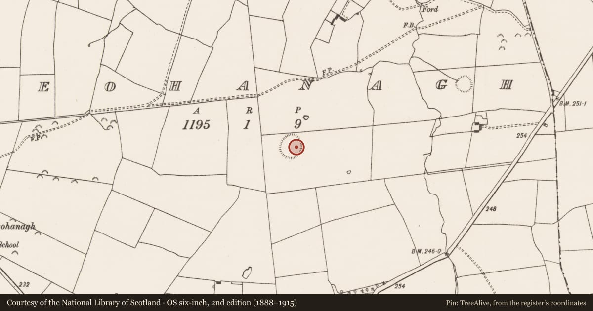 Ordnance Survey six-inch map, 2nd edition (1888–1915) covering the location of Ringfort - rath, Feohanagh, County Limerick, with a pin at the register's coordinates