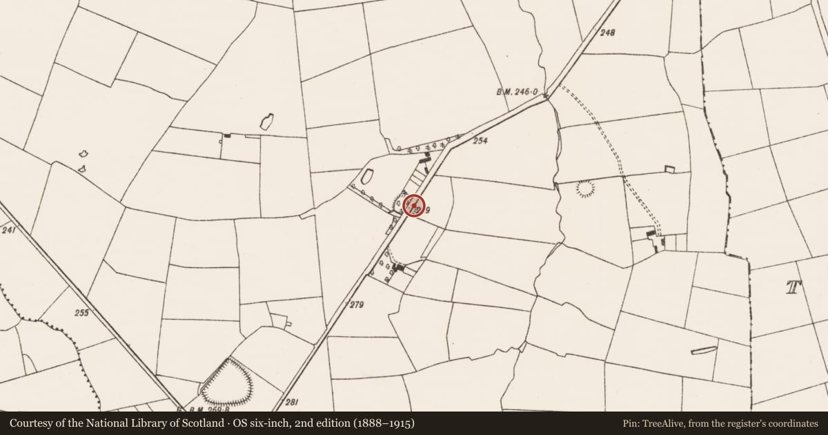 Ordnance Survey six-inch map, 2nd edition (1888–1915) covering the location of Ringfort - rath, Feohanagh, County Limerick, with a pin at the register's coordinates