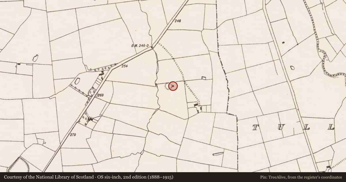 Ordnance Survey six-inch map, 2nd edition (1888–1915) covering the location of Ringfort - rath, Feohanagh, County Limerick, with a pin at the register's coordinates