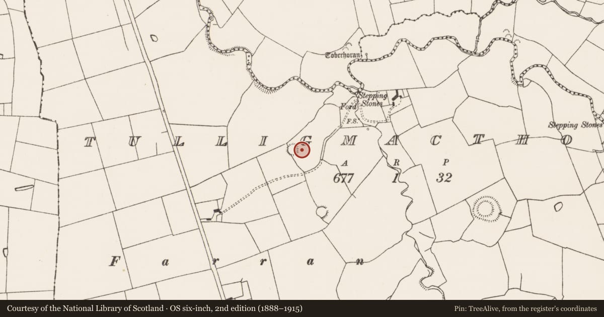 Ordnance Survey six-inch map, 2nd edition (1888–1915) covering the location of Ringfort - rath, Tulligmacthomas, County Limerick, with a pin at the register's coordinates