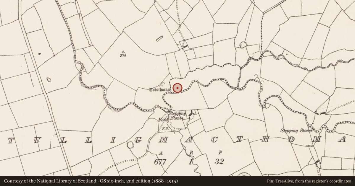 Ordnance Survey six-inch map, 2nd edition (1888–1915) covering the location of Ritual site - holy well, Ahaveheen, County Limerick, with a pin at the register's coordinates