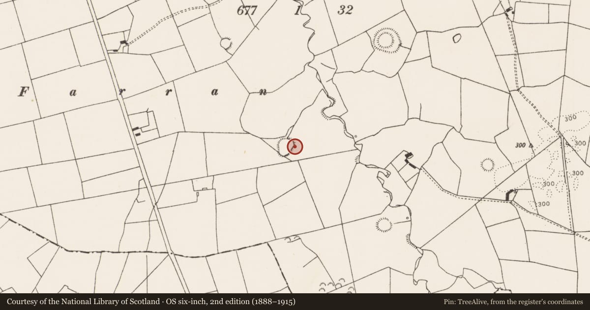 Ordnance Survey six-inch map, 2nd edition (1888–1915) covering the location of Ringfort - rath, Tulligmacthomas, County Limerick, with a pin at the register's coordinates