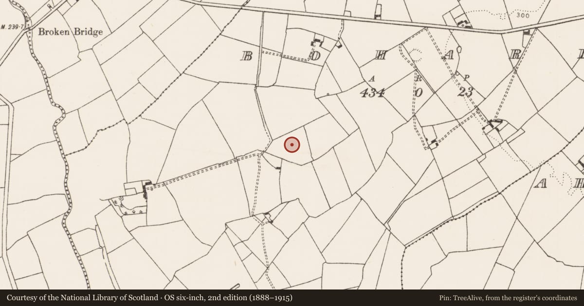 Ordnance Survey six-inch map, 2nd edition (1888–1915) covering the location of Ringfort - rath, Bohard, County Limerick, with a pin at the register's coordinates