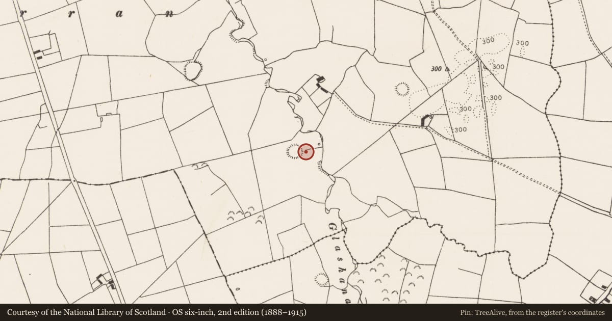 Ordnance Survey six-inch map, 2nd edition (1888–1915) covering the location of Ringfort - rath, Tulligmacthomas, County Limerick, with a pin at the register's coordinates