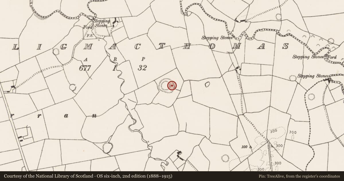 Ordnance Survey six-inch map, 2nd edition (1888–1915) covering the location of Ringfort - rath, Tulligmacthomas, County Limerick, with a pin at the register's coordinates