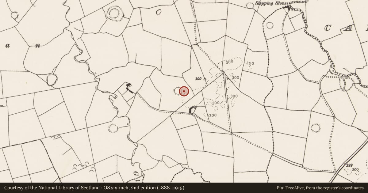 Ordnance Survey six-inch map, 2nd edition (1888–1915) covering the location of Ringfort - rath, Tulligmacthomas, County Limerick, with a pin at the register's coordinates
