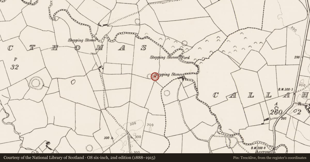 Ordnance Survey six-inch map, 2nd edition (1888–1915) covering the location of Ringfort - rath, Tulligmacthomas, County Limerick, with a pin at the register's coordinates