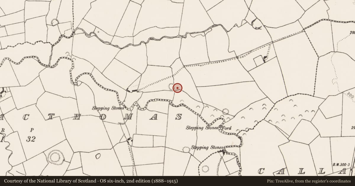 Ordnance Survey six-inch map, 2nd edition (1888–1915) covering the location of Ringfort - rath, Ahaveheen, County Limerick, with a pin at the register's coordinates