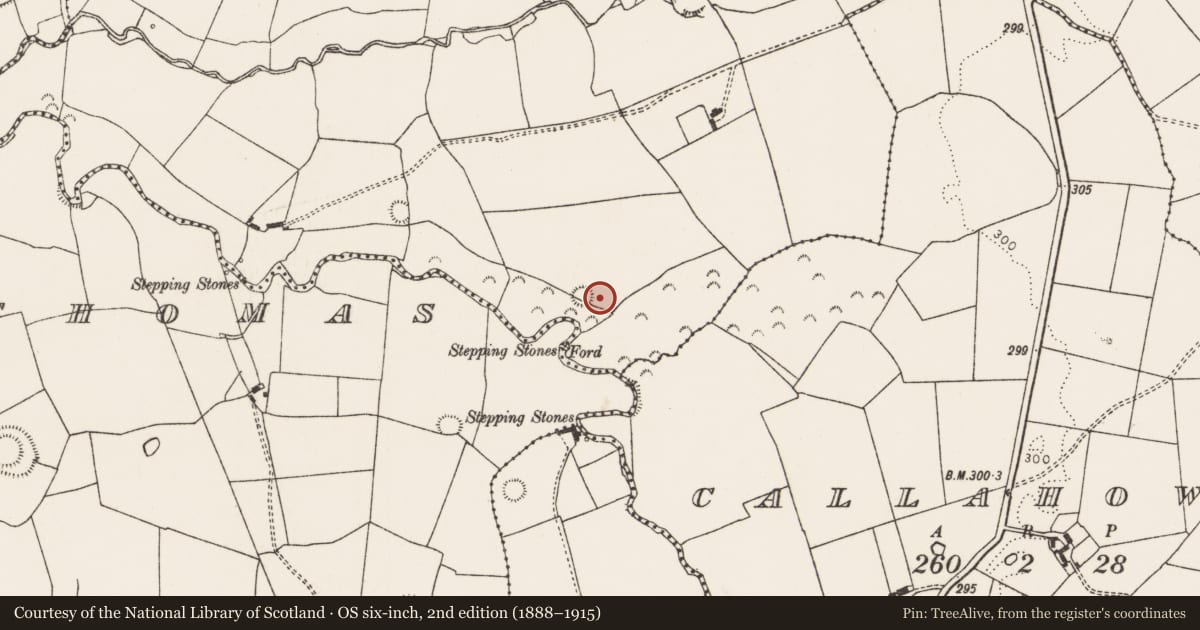 Ordnance Survey six-inch map, 2nd edition (1888–1915) covering the location of Ringfort - rath, Ahaveheen, County Limerick, with a pin at the register's coordinates