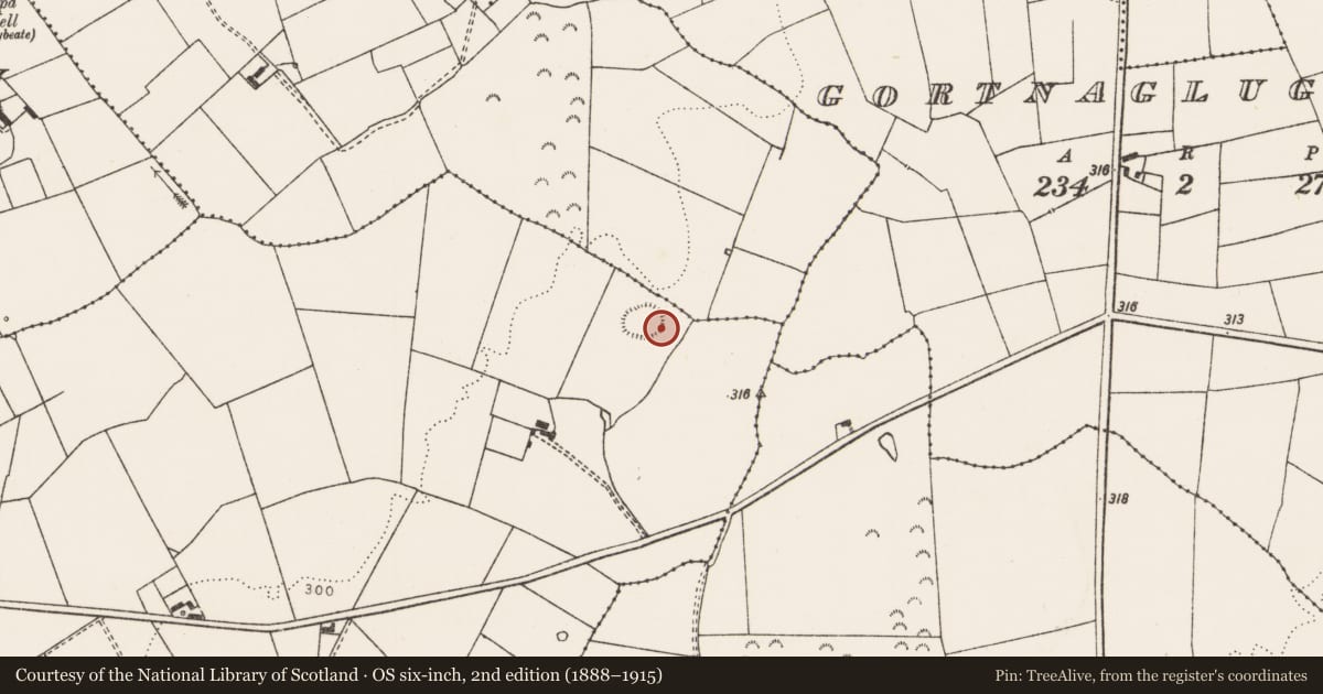 Ordnance Survey six-inch map, 2nd edition (1888–1915) covering the location of Ringfort - rath, Bohard, County Limerick, with a pin at the register's coordinates