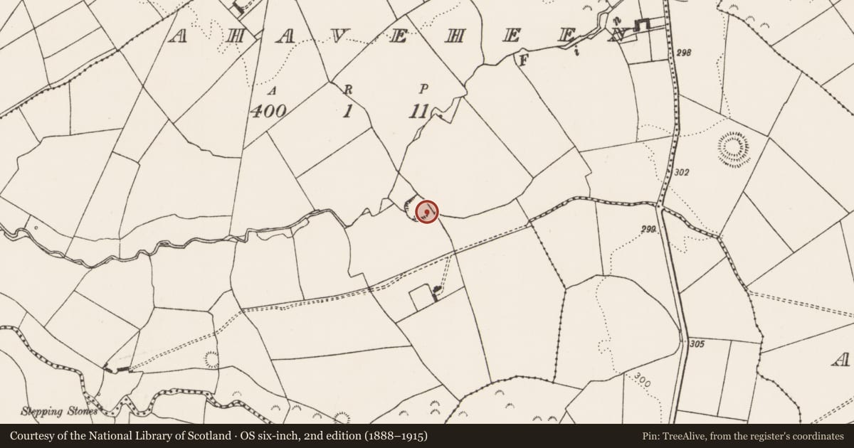 Ordnance Survey six-inch map, 2nd edition (1888–1915) covering the location of Moated site, Ahaveheen, County Limerick, with a pin at the register's coordinates