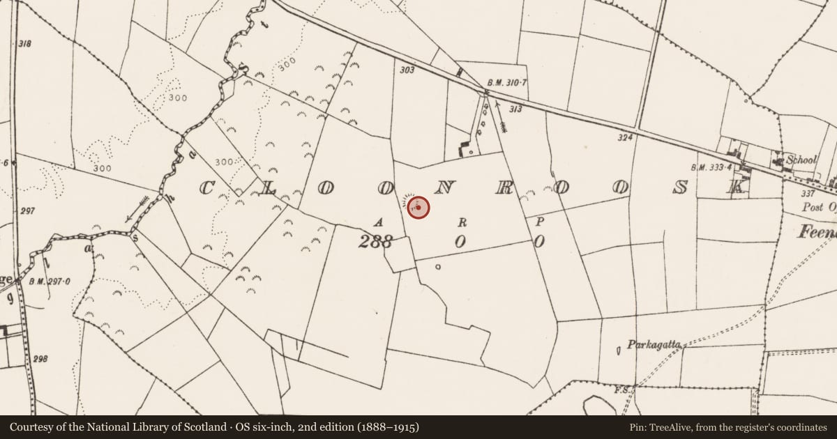 Ordnance Survey six-inch map, 2nd edition (1888–1915) covering the location of Ringfort - rath, Cloonroosk, County Limerick, with a pin at the register's coordinates