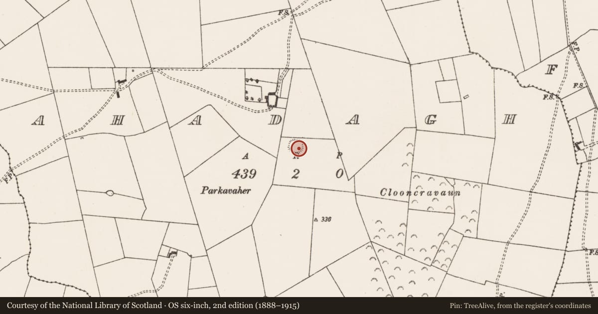Ordnance Survey six-inch map, 2nd edition (1888–1915) covering the location of Ringfort - rath, Ahadagh, County Limerick, with a pin at the register's coordinates