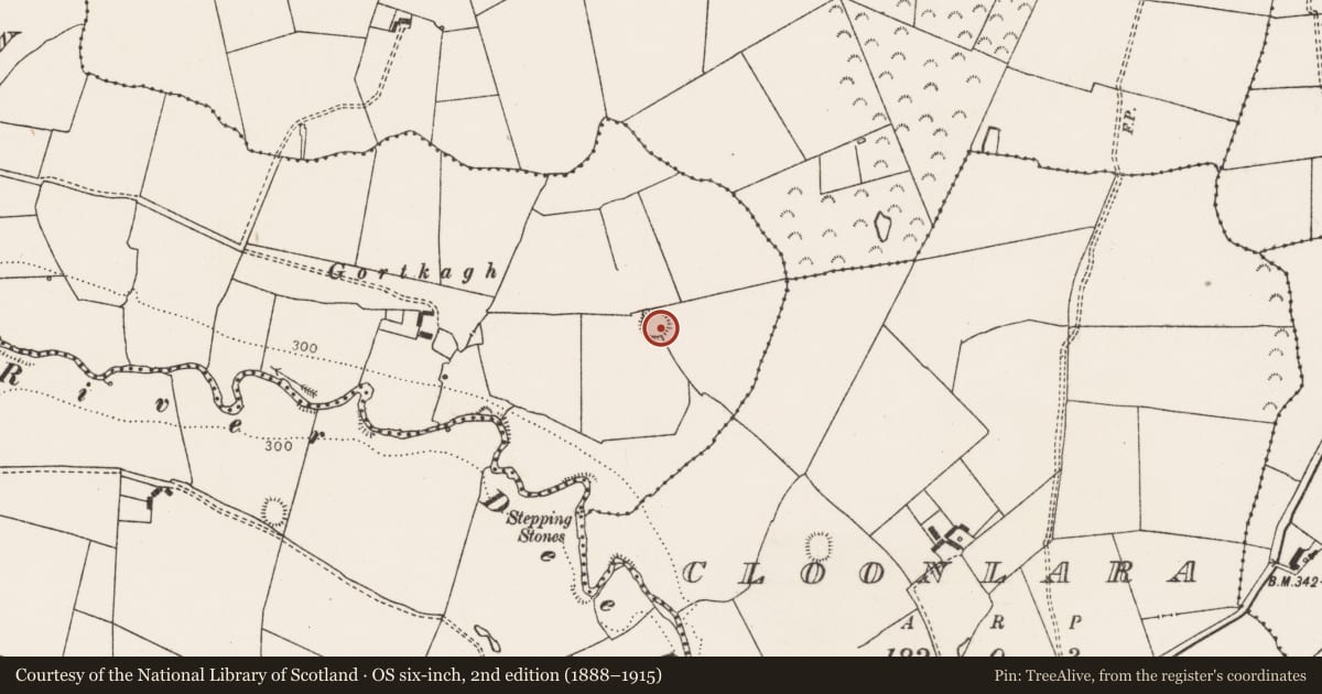 Ordnance Survey six-inch map, 2nd edition (1888–1915) covering the location of Ringfort - rath, Callahow, County Limerick, with a pin at the register's coordinates