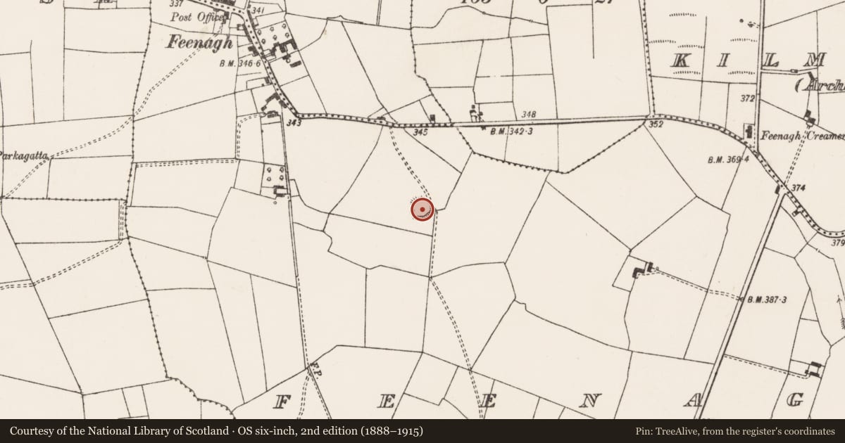 Ordnance Survey six-inch map, 2nd edition (1888–1915) covering the location of Ringfort - rath, Feenagh, County Limerick, with a pin at the register's coordinates