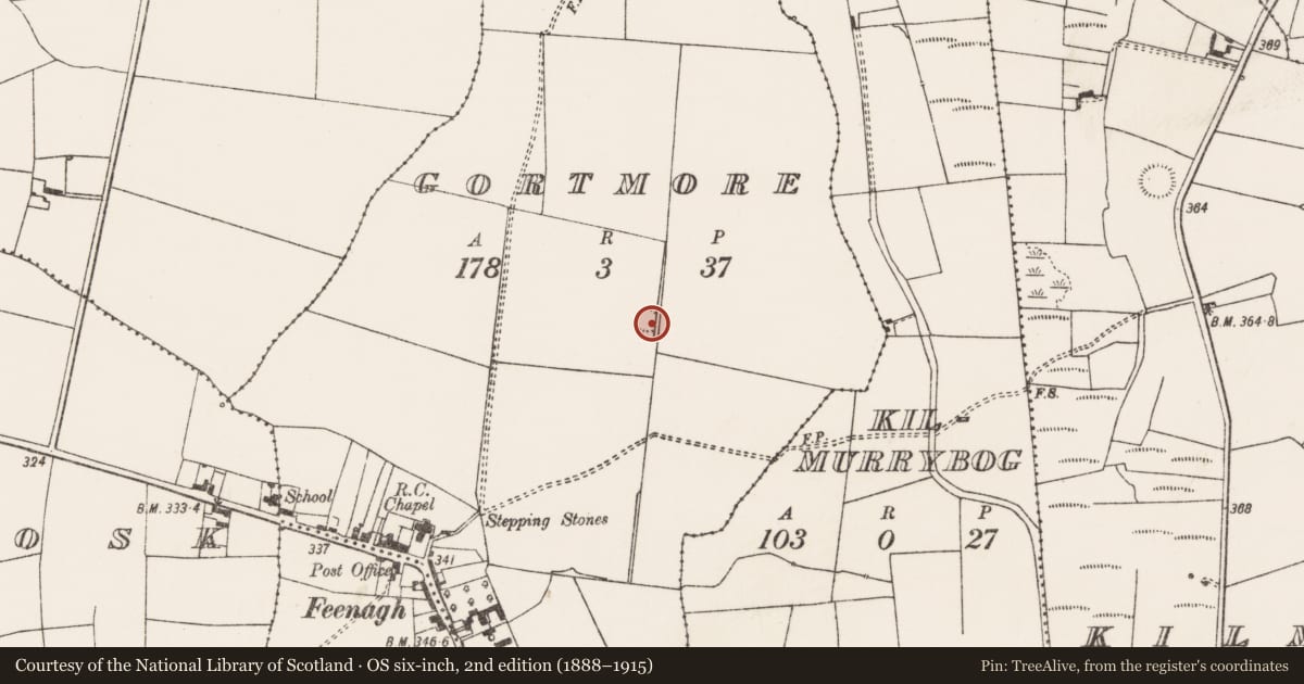 Ordnance Survey six-inch map, 2nd edition (1888–1915) covering the location of Ringfort - rath, Gortmore, County Limerick, with a pin at the register's coordinates