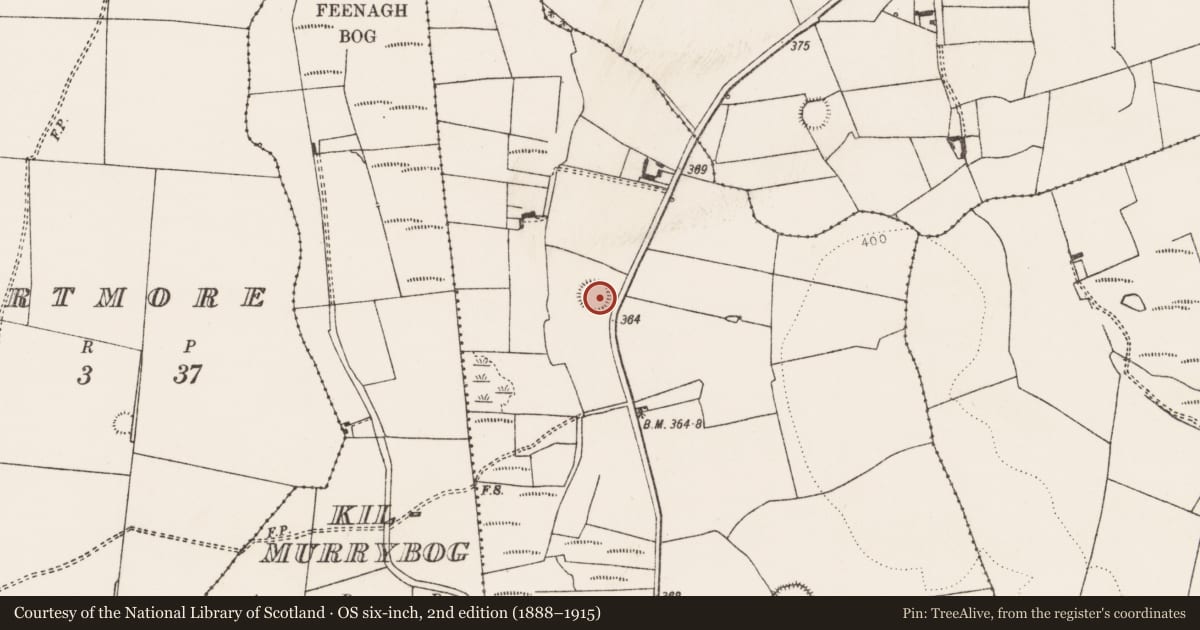 Ordnance Survey six-inch map, 2nd edition (1888–1915) covering the location of Ringfort - rath, Kilmurry (Archer), County Limerick, with a pin at the register's coordinates